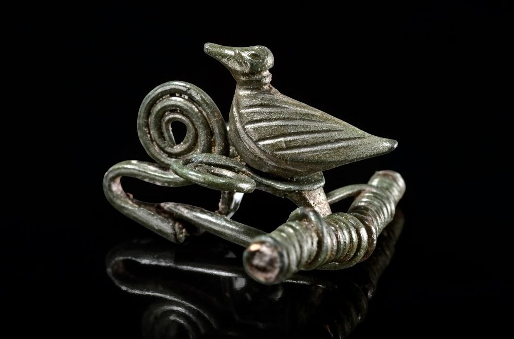 A close-up photo of a a bronze fibula ( brooch/pin), featuring a stylized bird figure sitting on top of a coiled, spiraling wire form. The fibula has a greenish patina typical of aged bronze, the bird's body features engraved lines. The object is photographed against a black background.