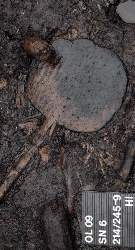 The bread peel during the excavation. It is lying in the mud.