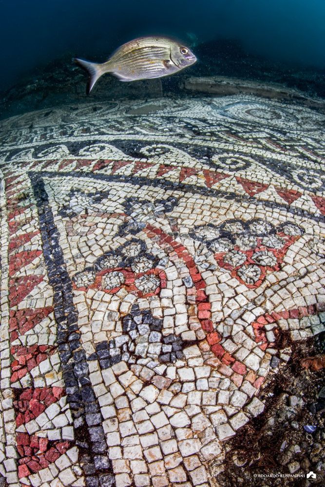 The photo was taken underwater. It shows a partially uncovered mosaic on the ground of the sea and a fish swimming above it.