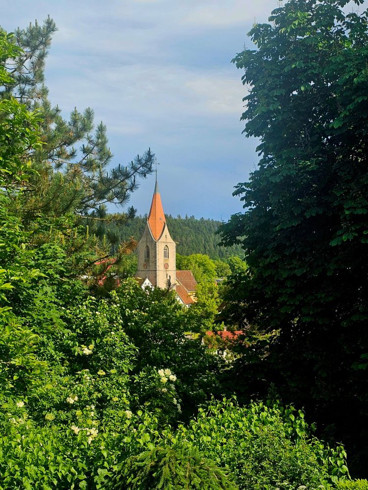 A church tower with a tall, pointed red roof rises above a cluster of traditional buildings, partially hidden behind lush green trees and dense foliage. The tower features a clock face and arched windows, set against a backdrop of forested hills under a partly cloudy blue sky.