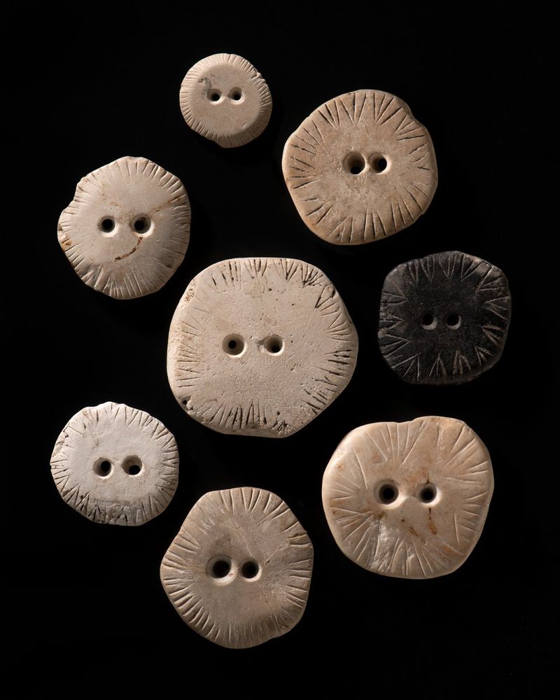 A collection of eight ancient discs made from limestone, displayed against a black background. Each disc is round or slightly irregular in shape with two central holes and radiating incised lines, in some of the dark birch pitch can still be seen. The discs vary in size and color, ranging from off-white to beige and one in dark gray. 