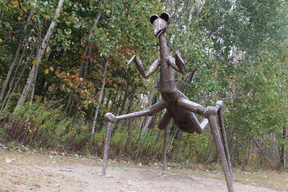 Massive statue of a mantis beside a forest 