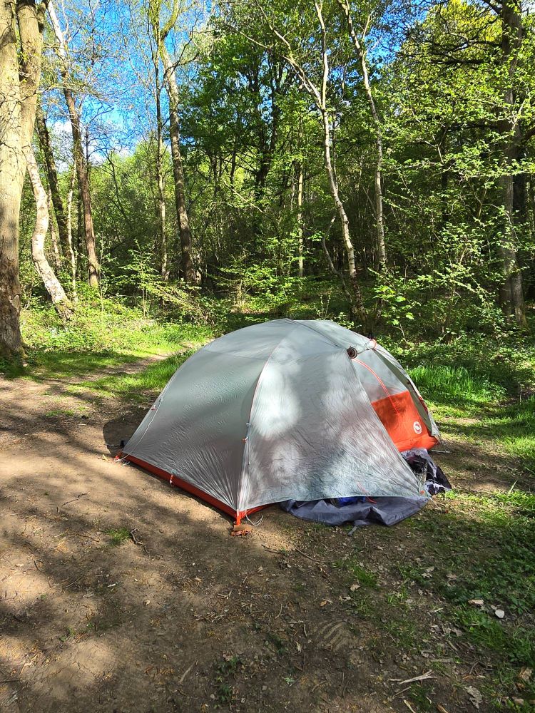 A grey and orange tent pitched in some woodland. Sun Light streams through the gaps in the trees and a blue sky can be seen beyond the canopy. The trees as mostly beech, birch and oak.