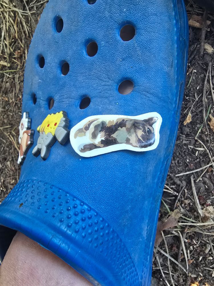 A closeup of a blue croc shoe. It has 3 charm jibbitz. One cubone, one pikachu and one a ginger cat