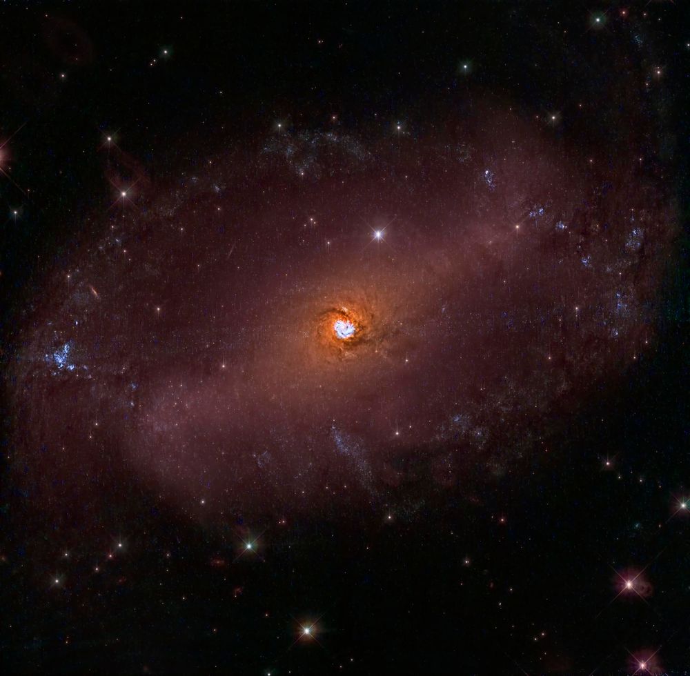 Comment image
