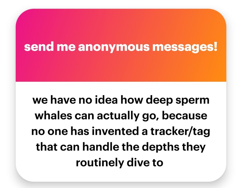we have no idea how deep sperm whales can actually go, because no one has invented a tracker/tag that can handle the depths they routinely dive to