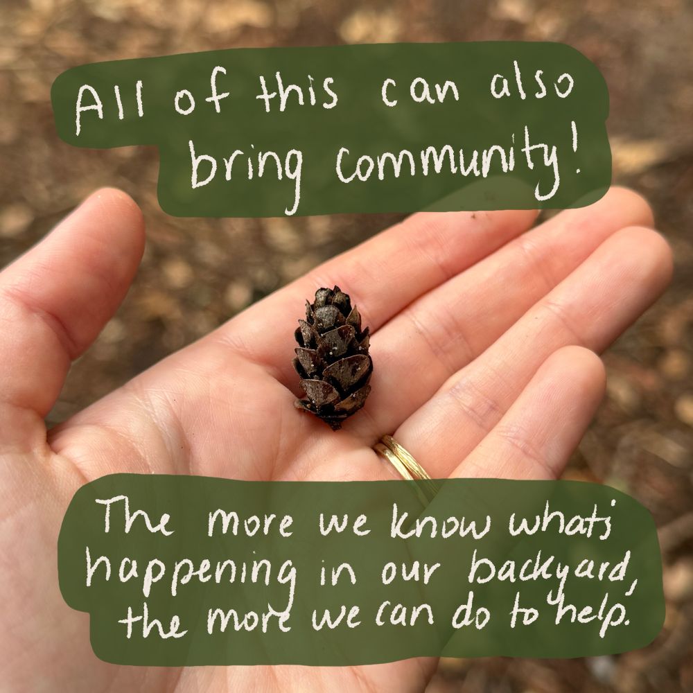 Photo of tiny pinecone and caption: all of this can also bring community! The more we know what’s happening in our backyard, the more we can do to help. 