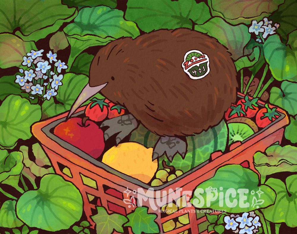 An illustration of a kiwi bird sitting in a basket of fruits amongst chatham island forget me nots. The kiwi bird has a kiwi fruit sticker on them
