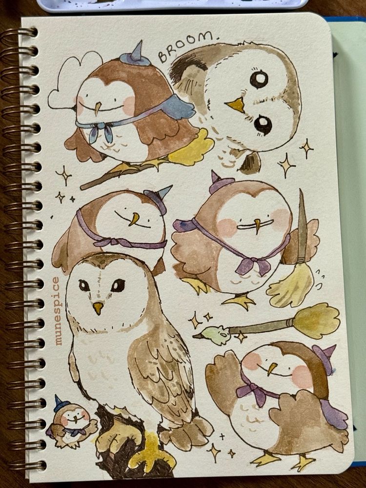 A sketchbook sheet of irl barn owls and also a barn owl character called ferdie with broom and hat and cape