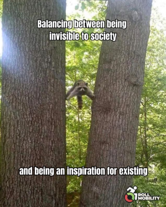 A raccoon is balancing with all four limbs between two trees. Text reads:  Text reads: "Balancing between being invisible to society and being an inspiration for existing." Roll Mobility logo in corner.