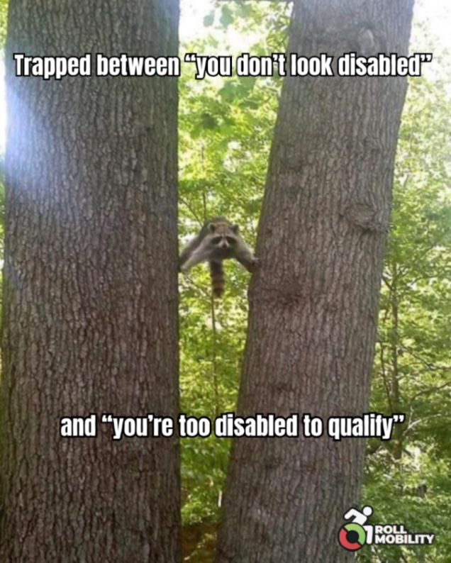 A raccoon is balancing with all four limbs between two trees. Text reads:  "Trapped between 'you don't look disabled' and 'you're too disabled to qualify'." Roll Mobility logo in the corner. 