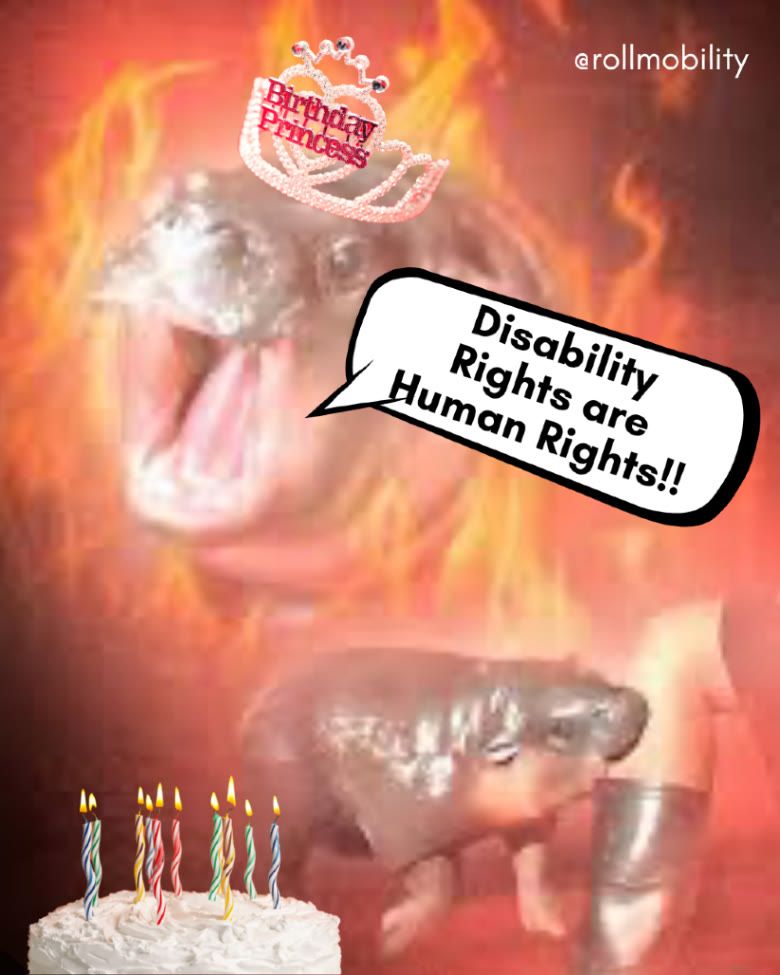 Two angry pictures of Moo Deng (one yelling, one biting a leg) wearing a "Birthday Princess" tiara, are surrounded by flames. A speech bubble says, "Disability Rights are Human Rights!!" A birthday cake with candles is in the foreground.