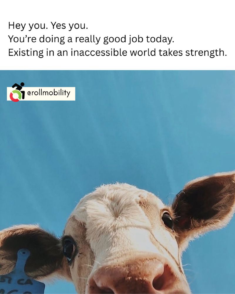 A picture of a cow's face looking down over the camera. Text reads: Hey you. Yes you. 
You’re doing a really good job today.
Existing in an inaccessible world takes strength.