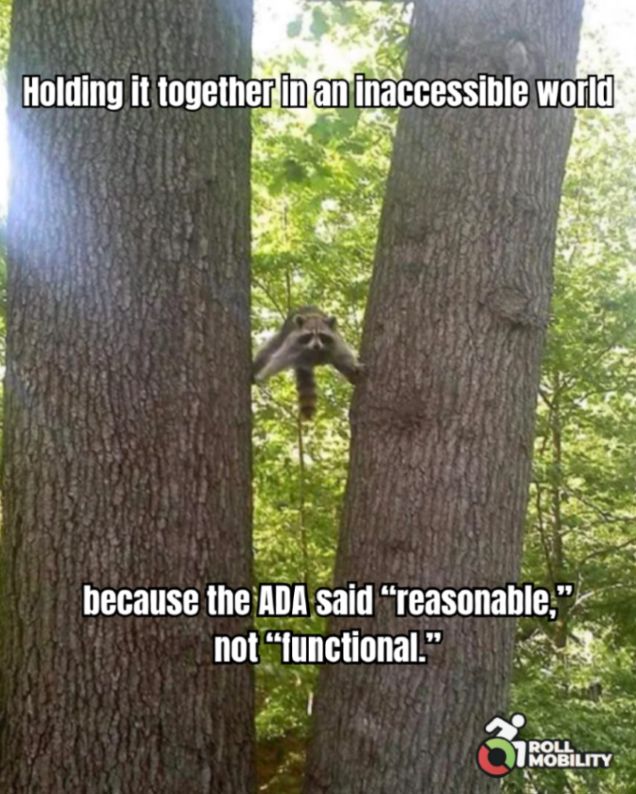 A raccoon is balancing with all four limbs between two trees. Text reads:  "Holding it together in an inaccessible world because the ADA said 'reasonable,' not 'functional.'" Roll Mobility logo in corner.