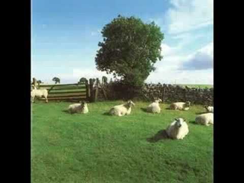 The KLF - Wichita Lineman Was a Song I Once Heard