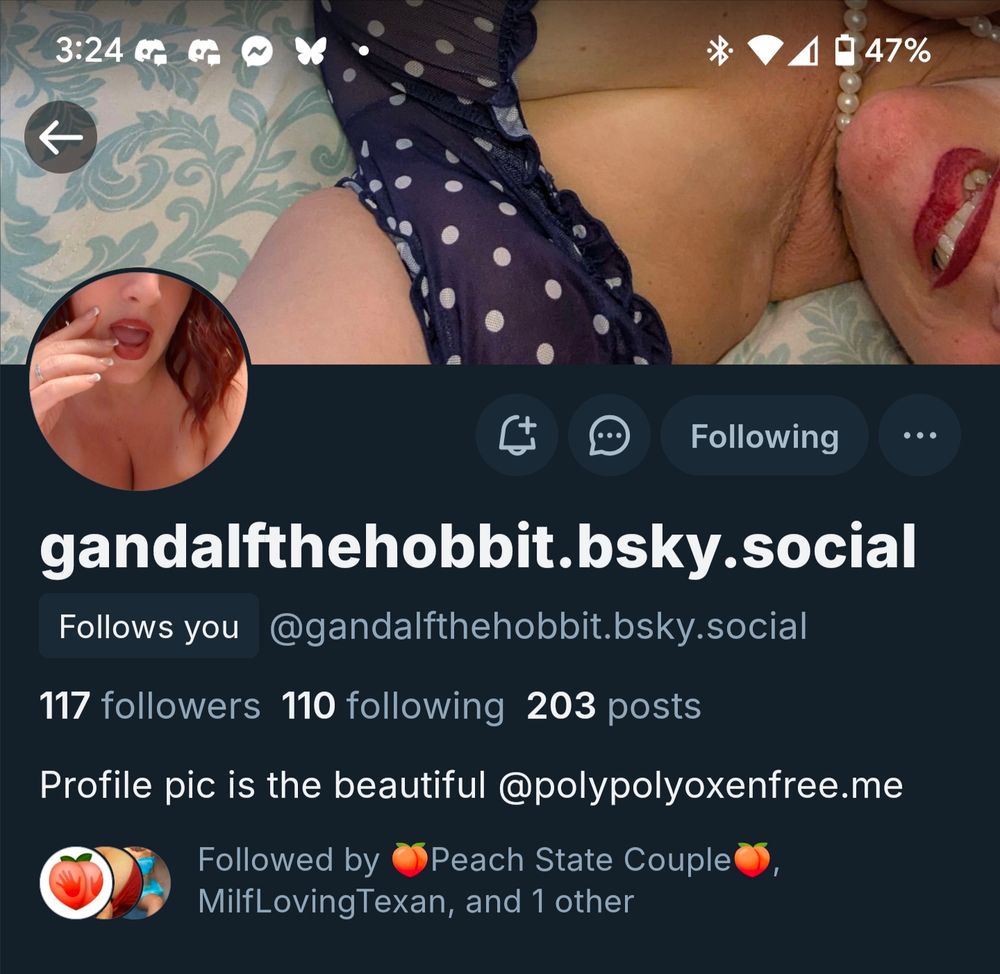 Screenshot of Gandalf's profile page. His profile pic is Poly's lower face with her fingers in her mouth and cleavage below. His banner is Poly on her back in blue polka dots and a pearl necklace. She bites her ruby lip as though asking for another pearl necklace.