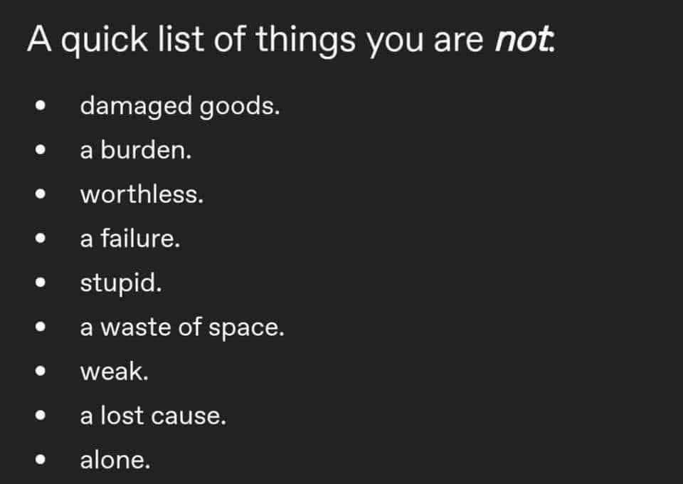 White lettering on black background with the heading "A quick list of things you are not" followed by this list: 
Damaged goods
A burden
Worthless
A failure
Stupid
A waste of space
Weak
A lost cause
Alone
