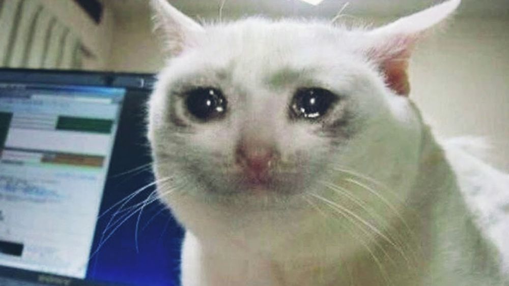 A photoshopped picture of a cat with tearful eyes.