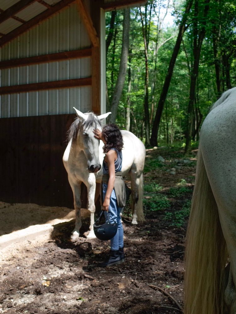 A young girl petting a gray horse in the woods