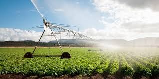 John Sedgwick St. Louis
