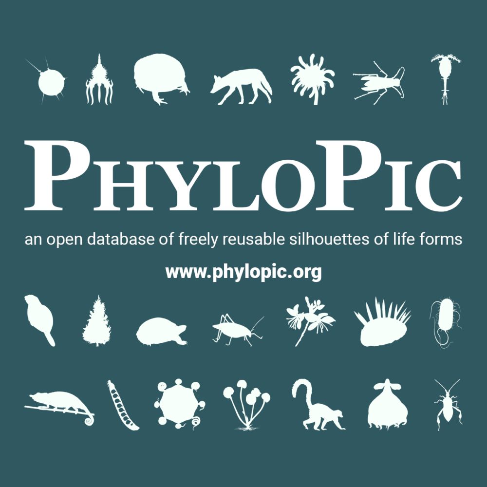 All Silhouette Images on PhyloPic