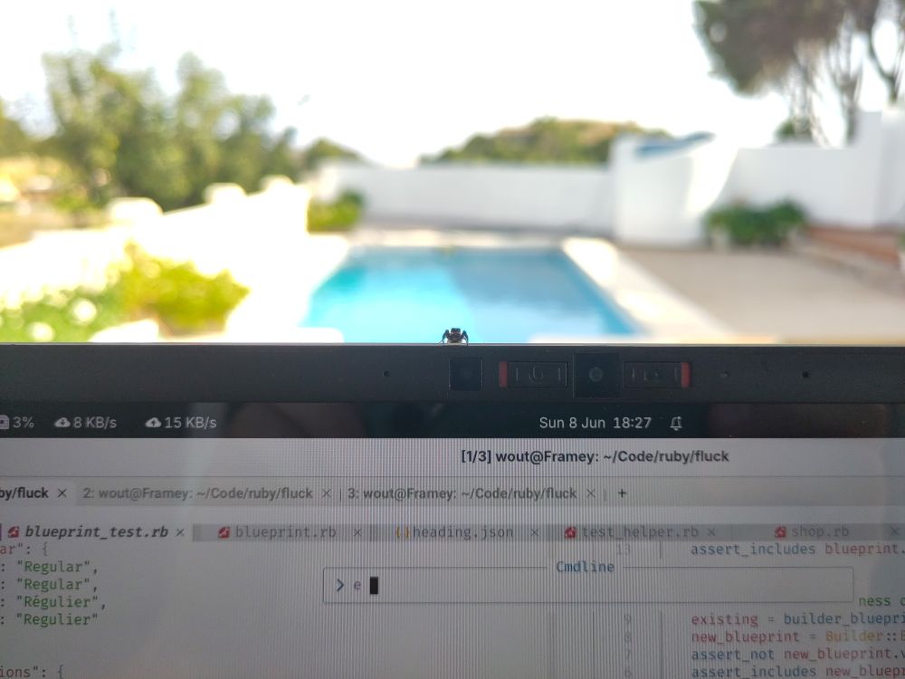 The top edge of a laptop screen with a swimming pool blurry in the background. 
A jumping spider sits in top of the laptop screen, looking straight into the camera.