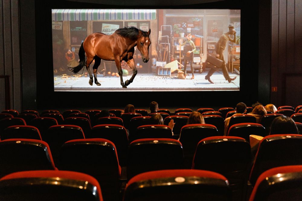 A movie theater screen prominently displaying a horse.
