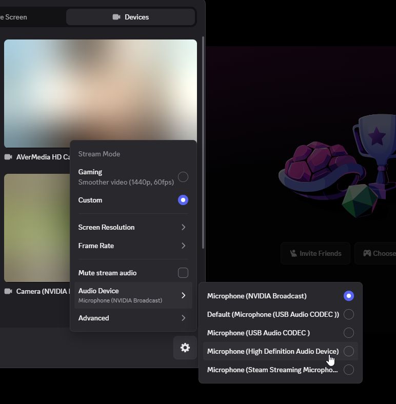 Discord Settings streaming the microphone a second time for devices