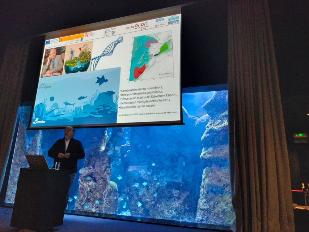 'Biodiversidad marina en aguas españolas', conferencia impartida por Javier Cristobo en el Bioparc Acuario de Gijón en la semana del grupo de trabajo BIODIV_A6-Gijon25. Mesa redonda con la participación de los doctores Seege Gofas, Inmaculada Frutos y Rafa Bañón. Autora: Pilar Ríos