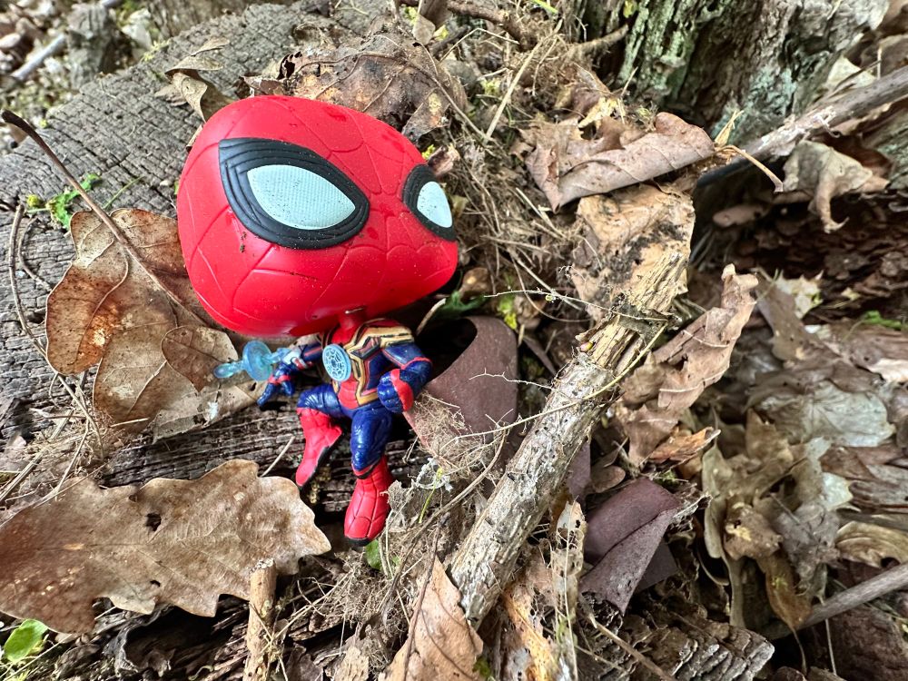 Eine Spider-Man-Puppe mitten im Wald.