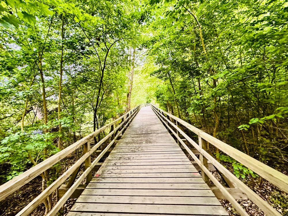 Brücke durchs Hermsdorfer Fließ
