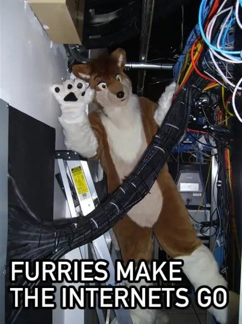 A person in a brown fox fursuit working in a datacenter, captioned "Furries make the internets go"