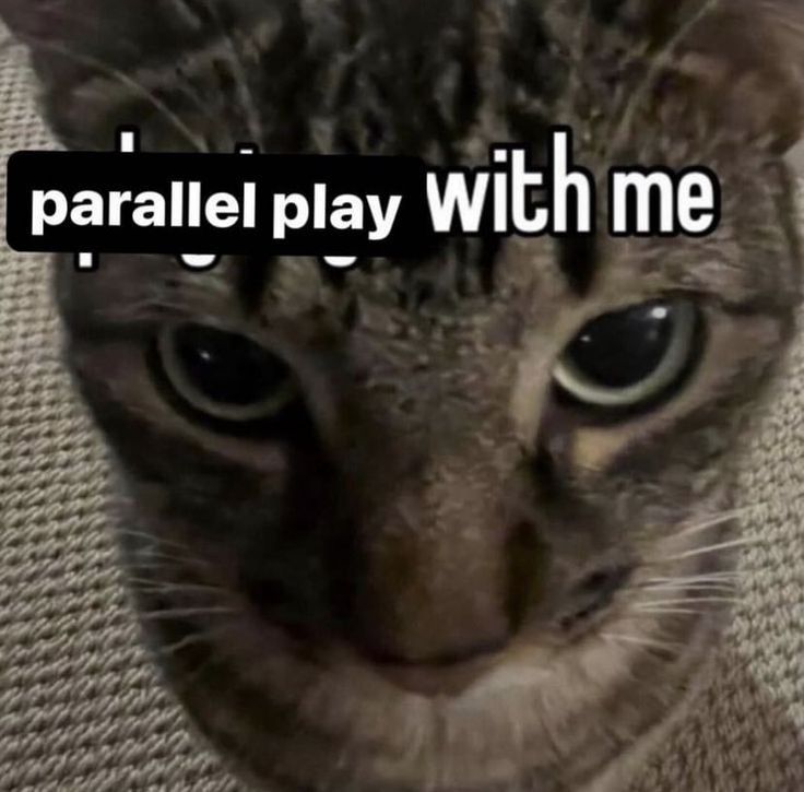 A close up photo of a tabby cat, text reads "parallel playy with me"