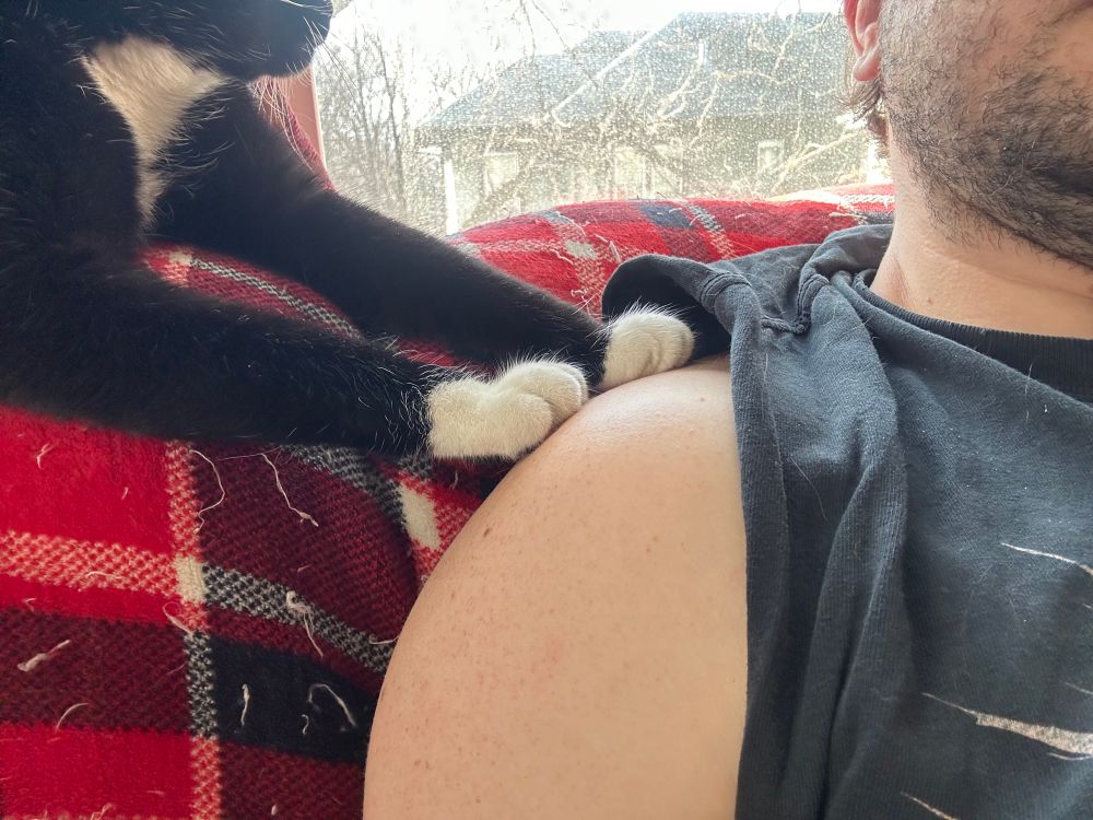 The two black and white front paws of a tuxedo cat reaches across a plaid blanket and gently rests upon my bare shoulder.