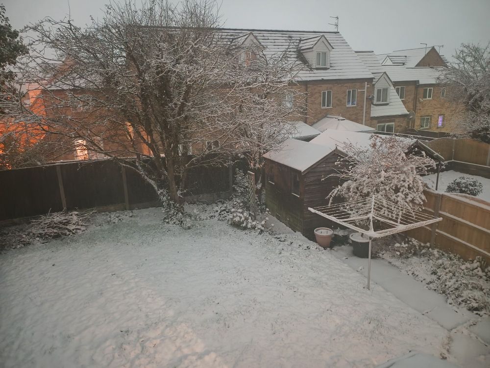 A snow covered garden