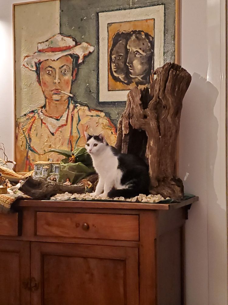 Photo d'un chat noir et blanc assis au milieu d'une crèche provençale avec en fond un tableau de Pierre Préel
