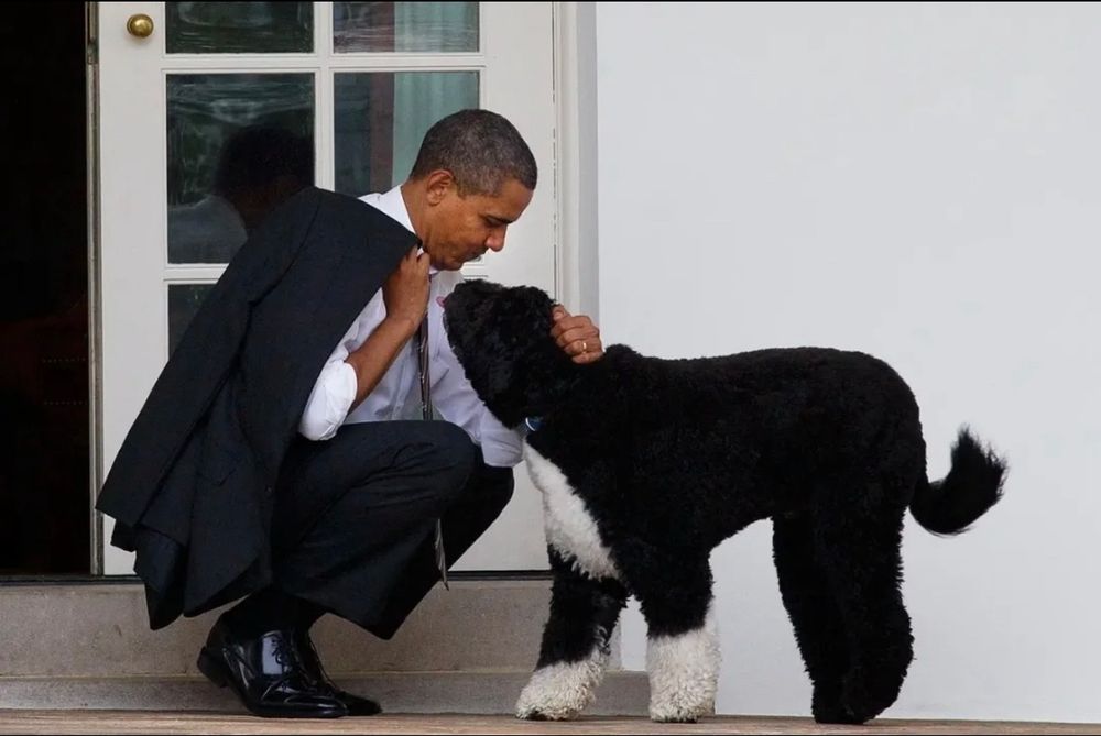 Obama petting the White House dog 