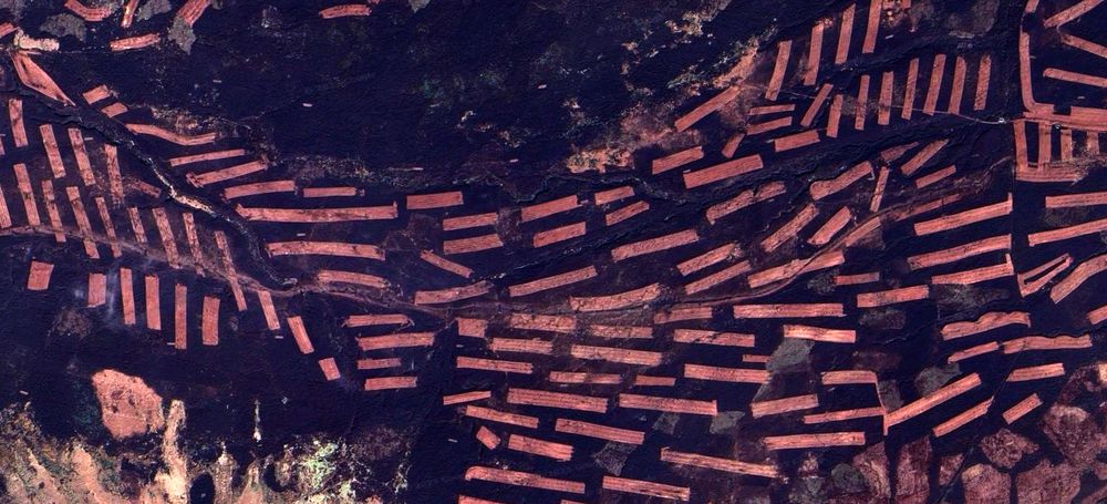 Detail satellite view from Google Maps of a section of the Peak District, showing complex traces of (presumably) some form of farming activity, reminiscent of an abstract painting with geometric shapes.