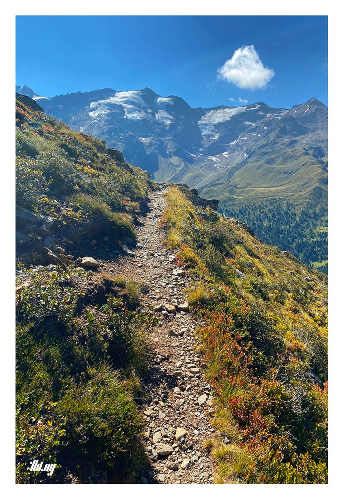 A small hiking path leads through beautiful colored mountain meadows into the distance, high above the valley below. The peaks on other side of the valley have remnants of glacier tongues. Further down, green meadows and first generation larch forest growing, for the first time in thousands of years. A single small fluffy cloud in an otherwise clear blue, hazy sky.