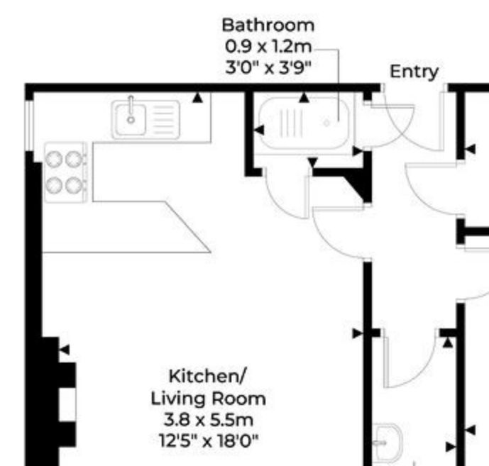 Layout drawing of a flat, showing that a very small bathroom is partitioned into the corner of the kitchen/living room, with access doors off both that room and the entrance hallway, and no route through the shower room apart from through the bathtub.