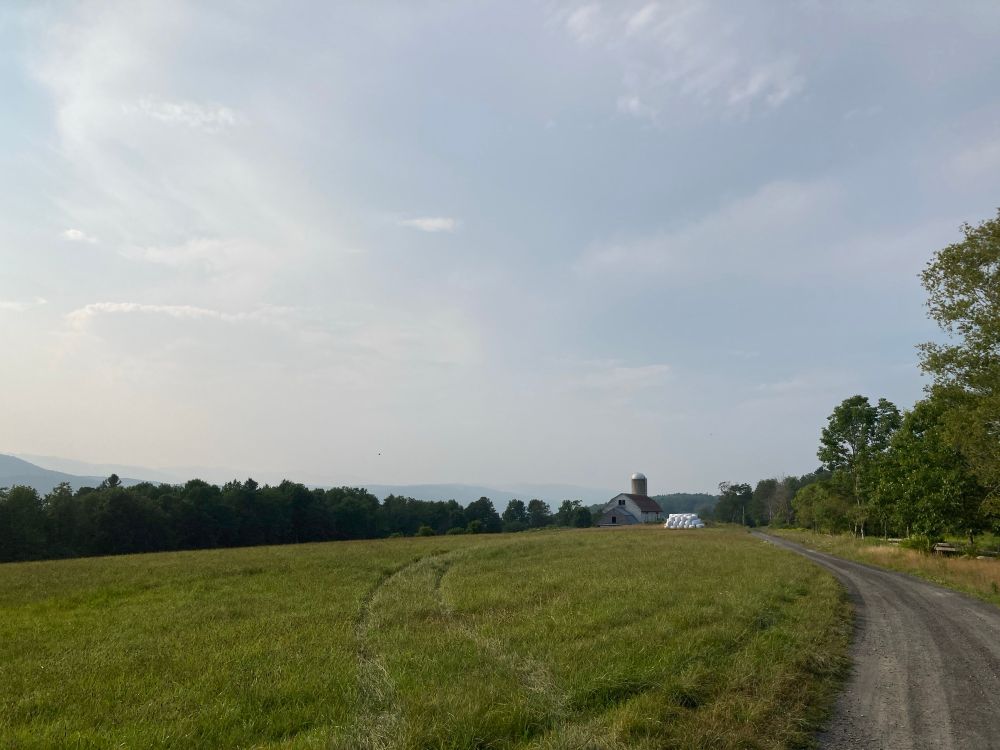 A dirt road leading to a large white barn with a field and some trees and beyond them some low mountains. It is a very sunny day and the sky is slightly hazy.