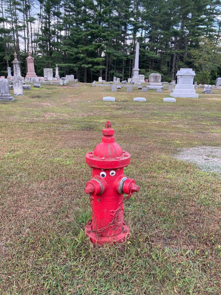 A fire hydrant with googly eyes in front of a cemetery