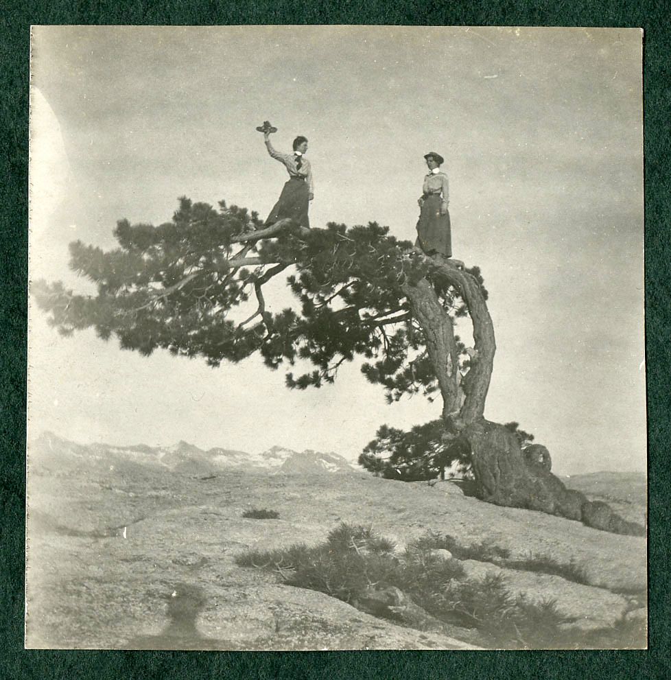 Two women standing on top of a gnarled ancient pine tree  on Sentinel Dome with a mountain range viewable in the background