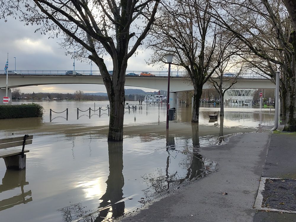 Esplanade with water from the Moselle 