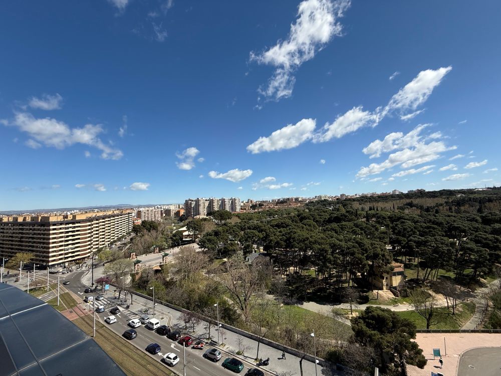 Vista aérea de la entrada del parque grande y la calle luis vives de Zaragoza