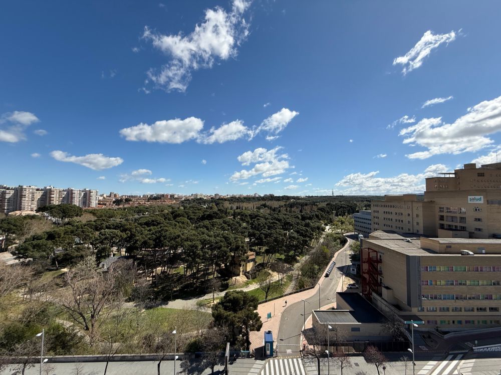 Vista aérea del parque grande de Zaragoza.