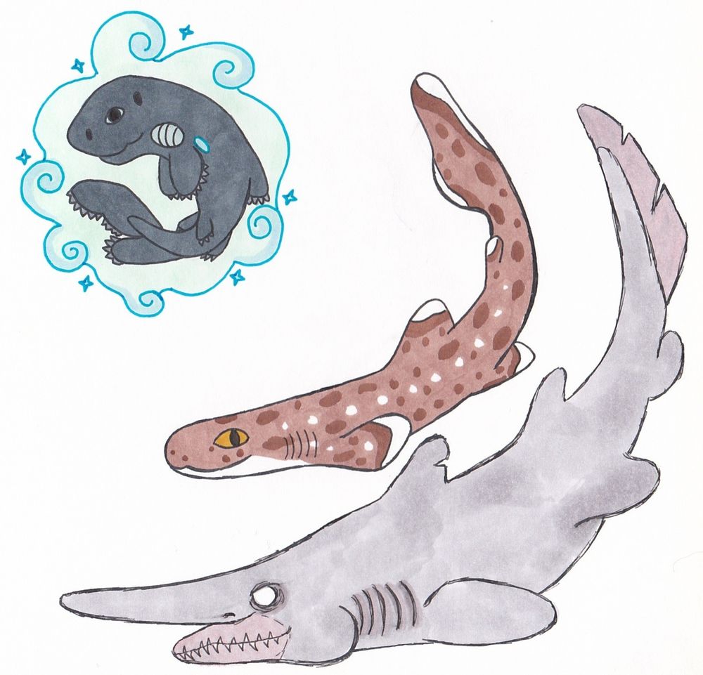 Three traditional drawings of sharks on a page together. One is surrounded by a green/blue cloud, another is brown with spots and yellow cat eyes, and the bottom shark is grey with slightly pink accents and white eyes. It has extended jaws and snaggly teeth.