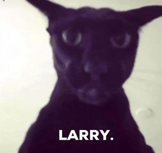 Image of an intense black cat with the caption “Larry.”