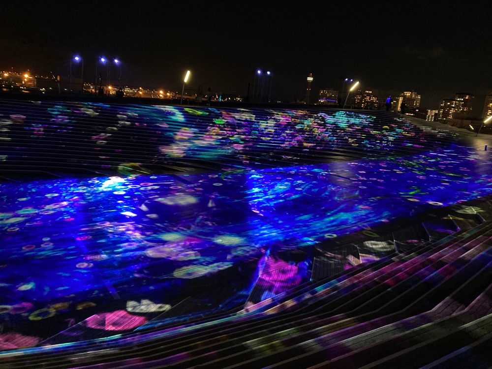 横浜 大さん橋プロジェクションマッピング 色とりどりの花びらが舞っている様子