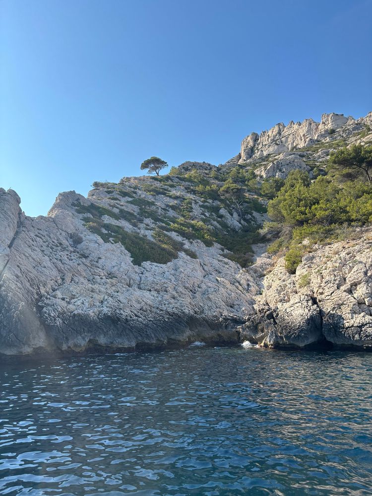 À proximité de la calanque de Morgiou et de la grotte bleue 